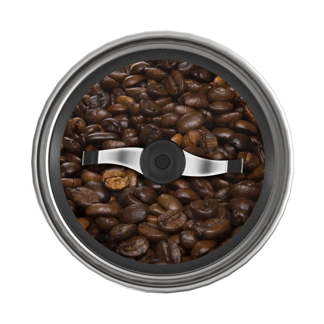 Molinillo de café y especias de 177 ml (12 tbsp) - Ninja® XSKGRINDER